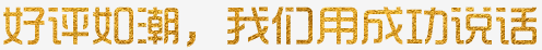 好評如潮，我們用成功說話