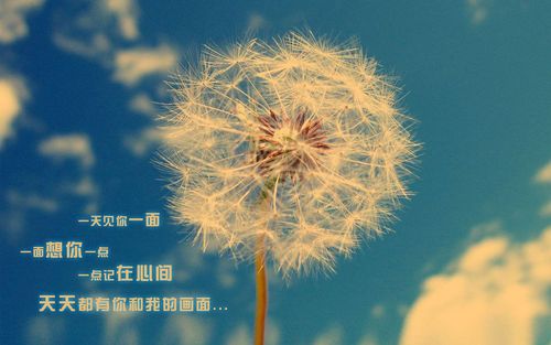 女人一旦有了新歡，是不是就不會回頭了？
